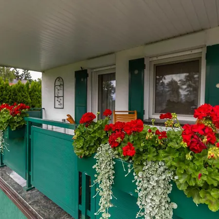 Фермерський будинок Dom Przy Plazy Giewartow
